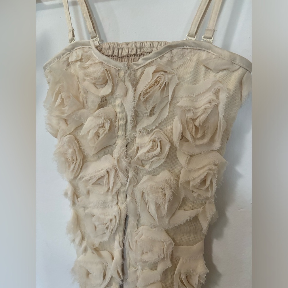 Rosette corset, size small, Charlotte Russe, good condition